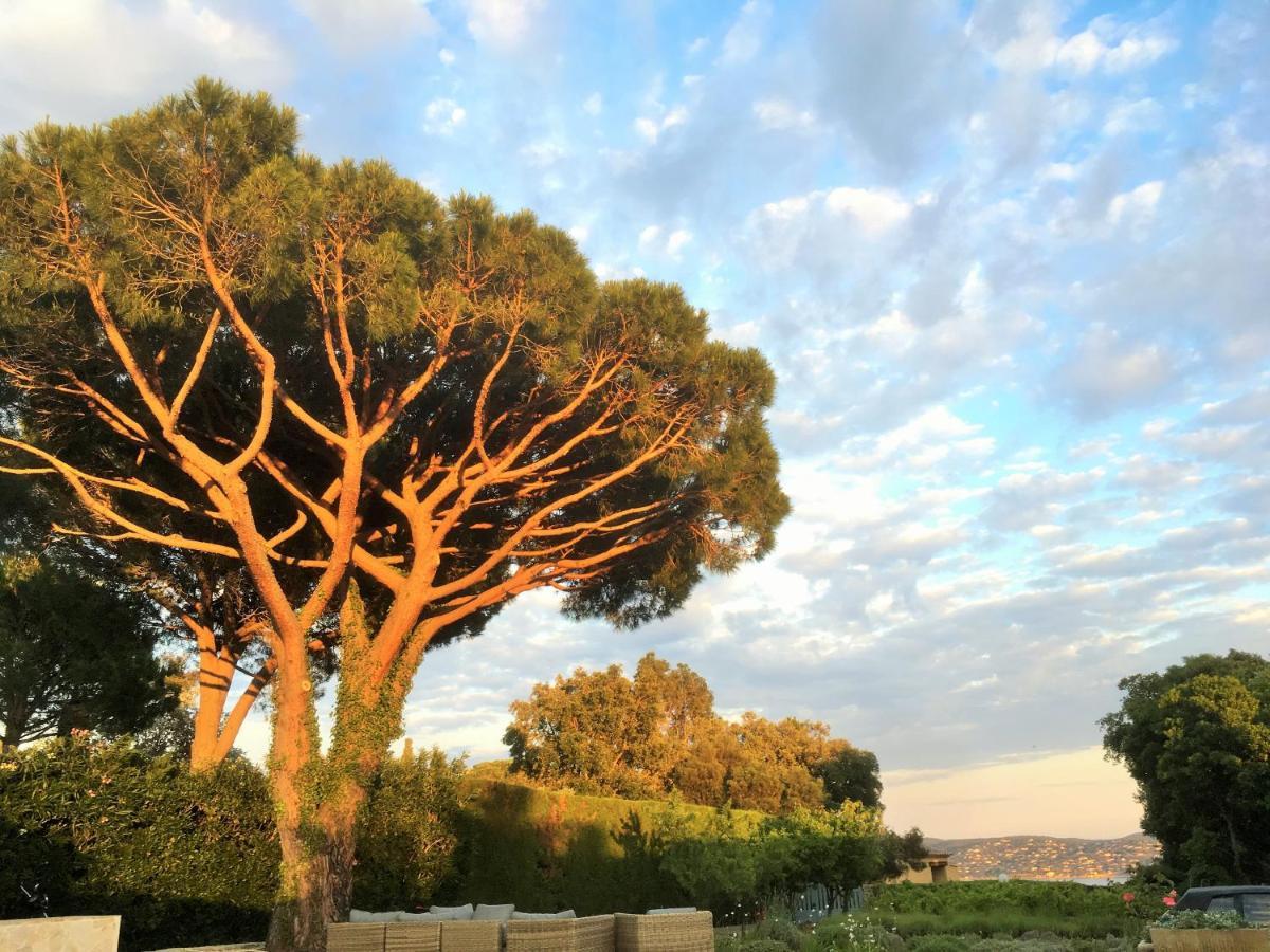 Lovely "Provence" Villa With Sea View, Private Heated Pool, Airco And Beautiful Garden Grimaud Eksteriør bilde