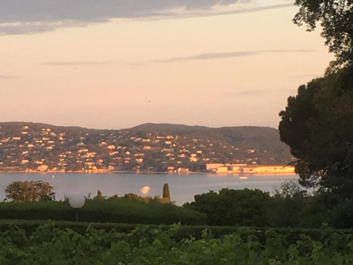 Lovely "Provence" Villa With Sea View, Private Heated Pool, Airco And Beautiful Garden Grimaud Eksteriør bilde