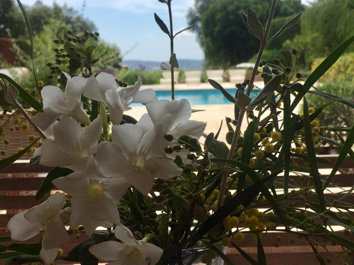 Lovely "Provence" Villa With Sea View, Private Heated Pool, Airco And Beautiful Garden Grimaud Eksteriør bilde
