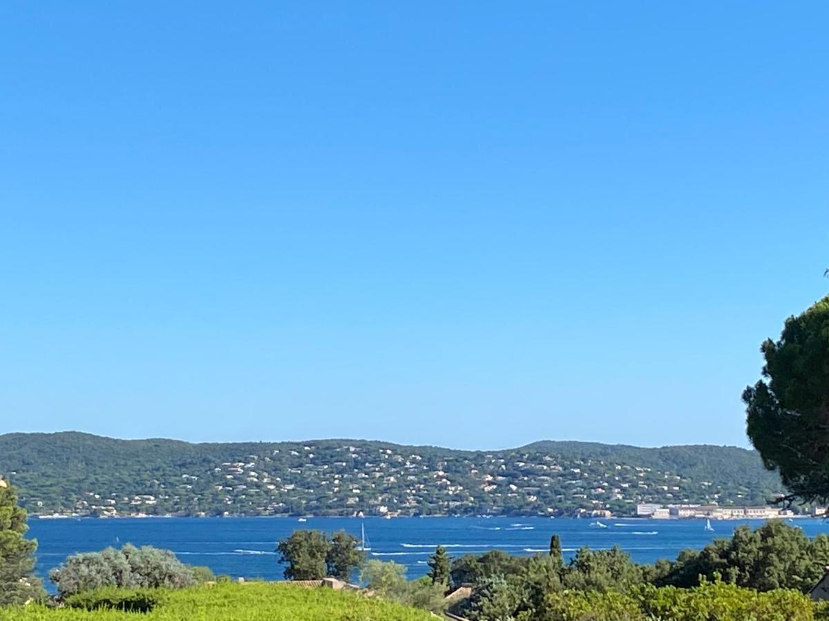 Lovely "Provence" Villa With Sea View, Private Heated Pool, Airco And Beautiful Garden Grimaud Eksteriør bilde